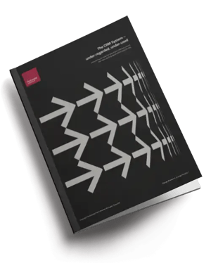 The CRM System – under-regarded, under-used whitepaper