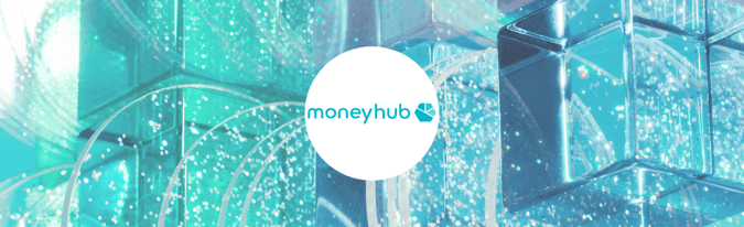 Successfully navigating Fintech: Moneyhub's strategy for accelerated growth