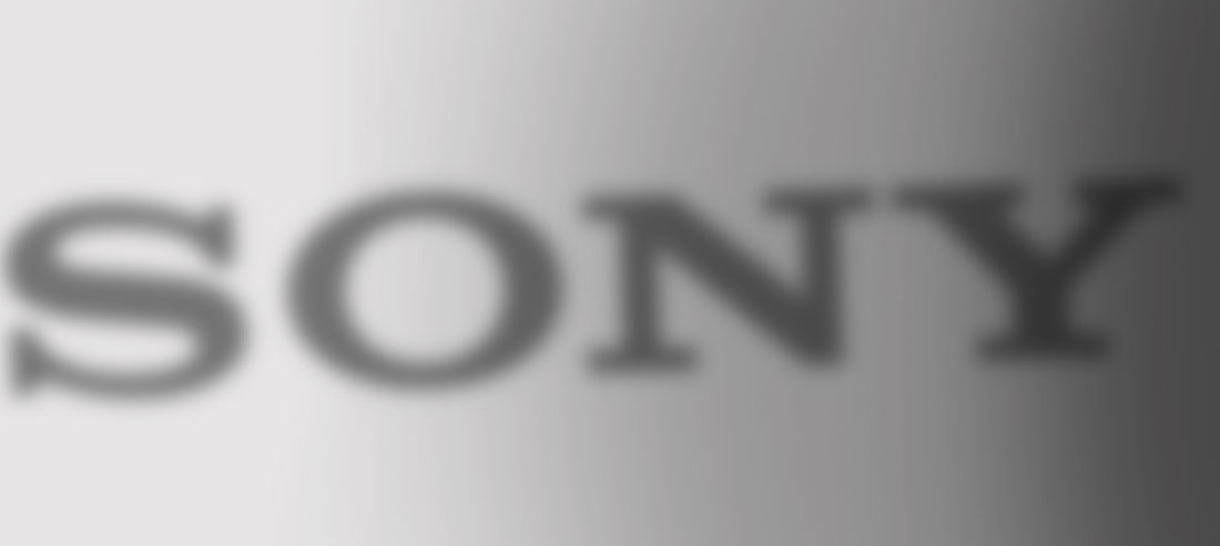 Sony - SPIN Opportunity Management Programme