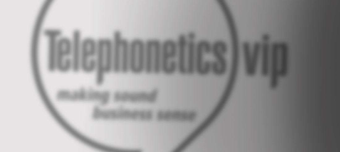 Case Study – Telephonetics VIP – Talking a common language at Telephonetics VIP